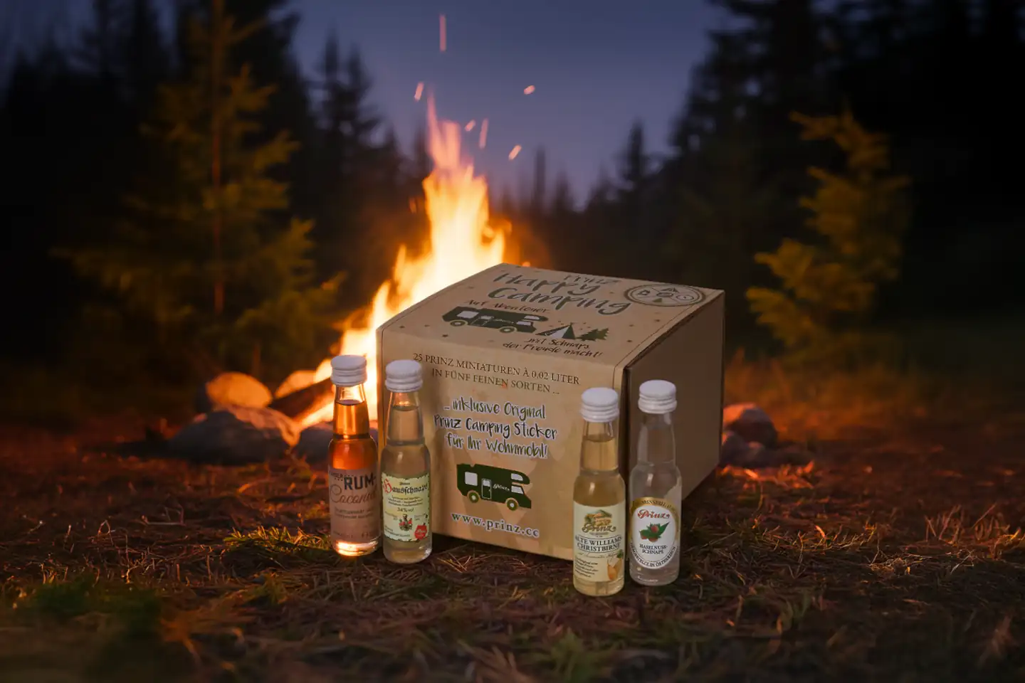 Prinz Happy Camping Box
